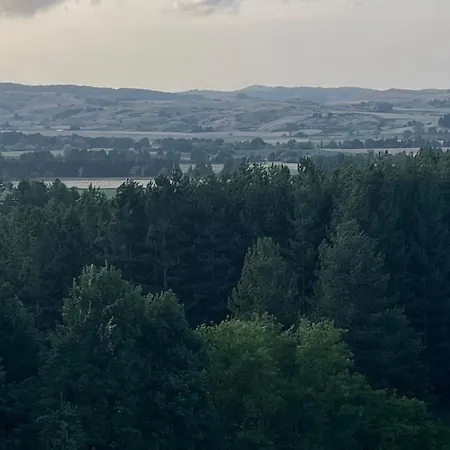 Tree House 卡迈格拉特罗希拉诺